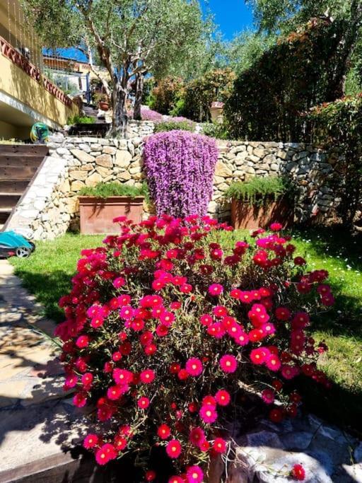 Villa Villacolle มาสซาโรซา ภายนอก รูปภาพ